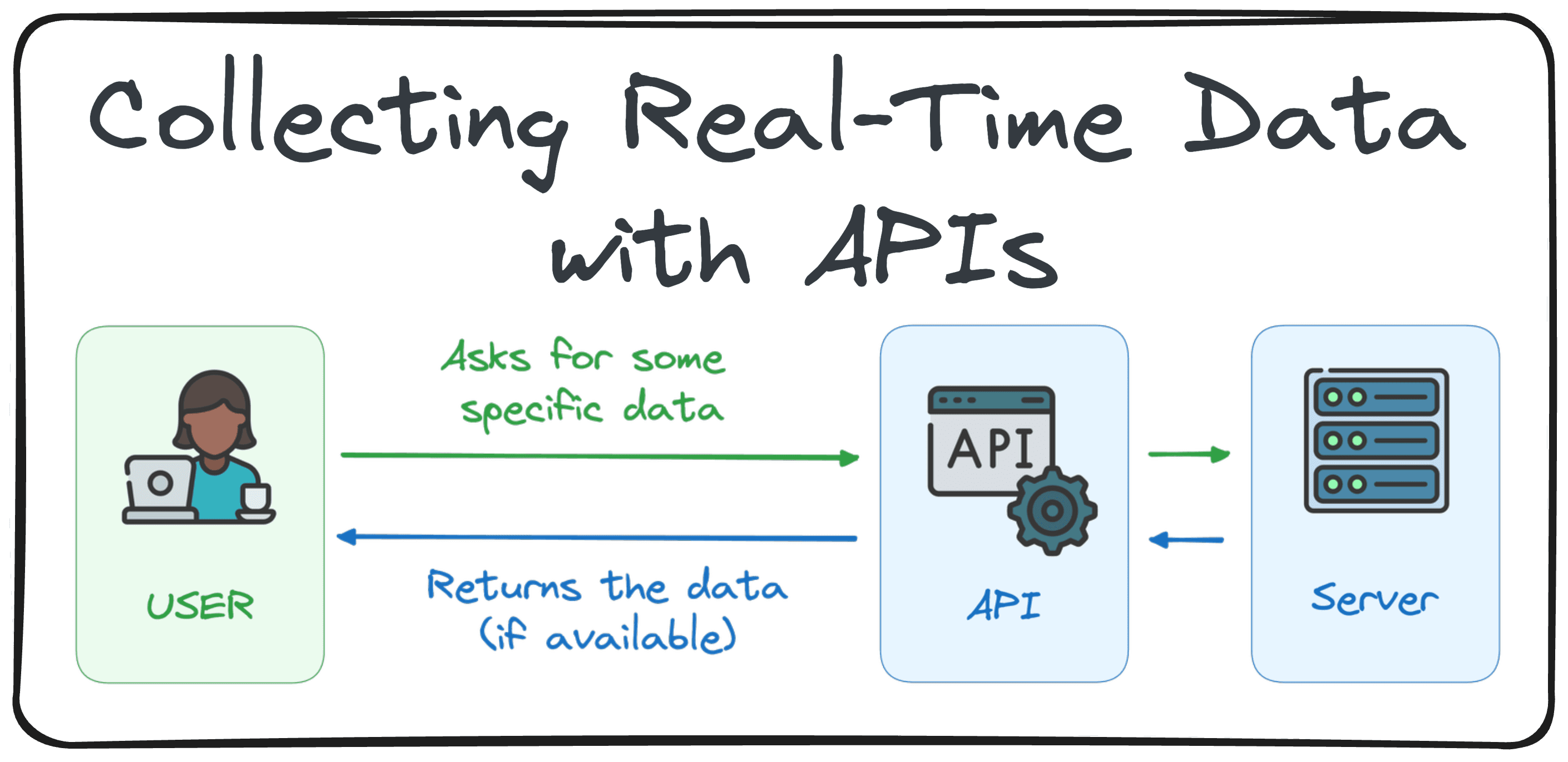 Collecting Real-Time Data with APIs: A Hands-On Guide Using Python