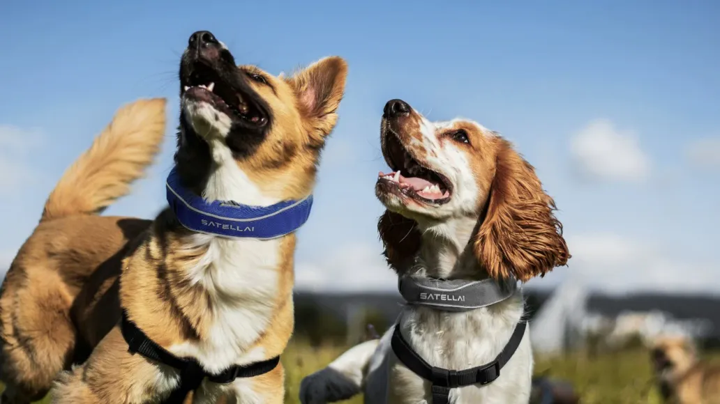 Cloudflare 2025 年第三季度 DDoS 报告：印度尼西亚成为最大的攻击来源国