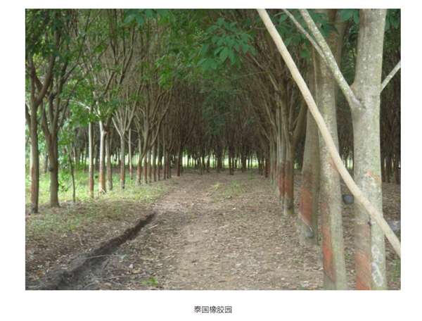 当AI学会看山看海:坤元大模型如何重新定义地球观测